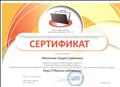 Сертификат участника сетевого профессионального педагогического сообщества "Netfolio"